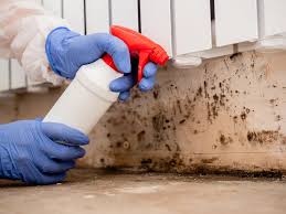 Trusted Marietta, GA Mold Removal Services Experts